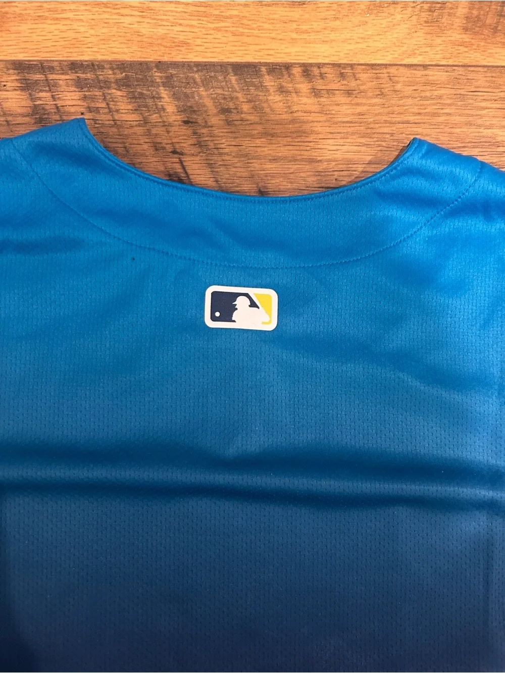 Phillies City Connect Nike Baseball Jersey